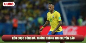 Kèo Cược Bóng Đá: Những Thông Tin Chuyên Sâu Cho Người Chơi